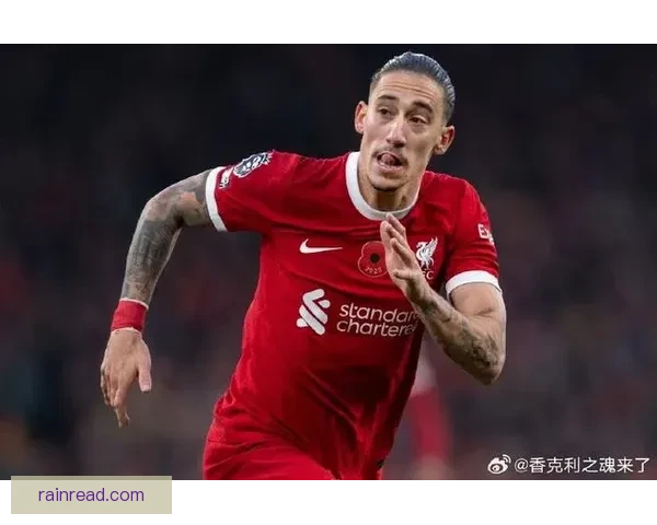 齐米卡斯盼留利物浦继续争位置 齐米卡斯盼留利物浦继续争位置
